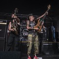 Click to enlarge GutterPunk - Professional Concert Photography